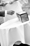 amyjarrad_0384-edit