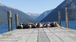 amy_lewis_0076