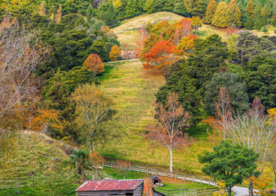 Autumn Valley